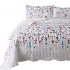 Printed Quilt Coverlet Set 